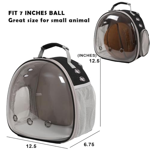 Desert Iguana Backpack Carrier (Black)