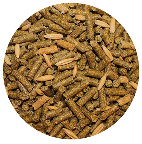 Degu Diet 18lb (18 Pound (Pack of 1))