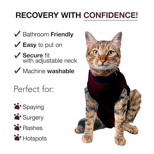 Cat Recovery Suit Female and Male (Maroon / XSmall+)