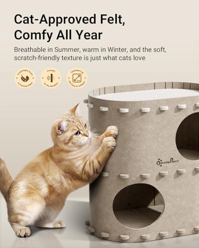 Cat House for Indoor Cats (Cream / Double)