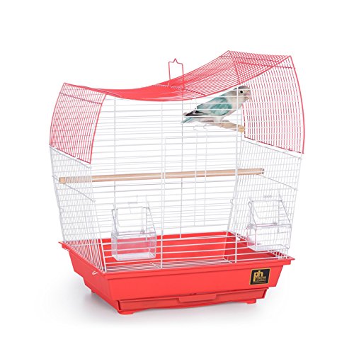 South Beach Wave Top Bird Cage Minimal Assembly (Lime Green / 10.4"L x 0.4"W x 17.6"H)