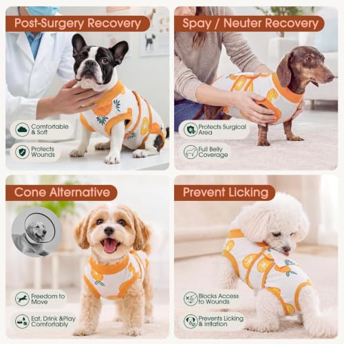 Recovery Suit for Dogs Cats (S (Back:11.4-13.4'', Weight:7-15 Lb) / Pineapple Citrus)