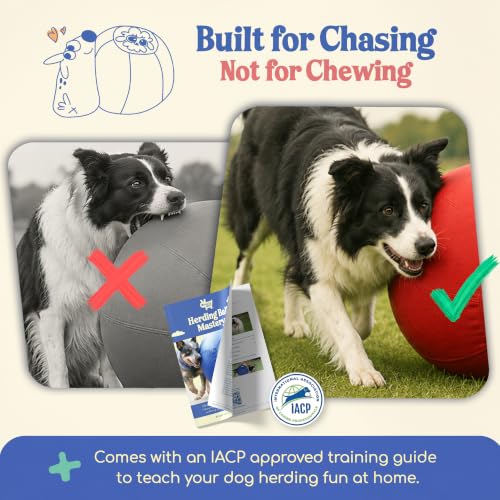 25" Original Herding Ball for Dogs (Cherry - L 25" Herding Ball Set / L 25")