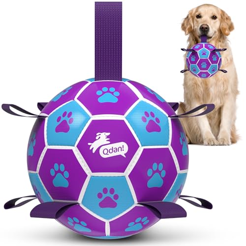Dog Toy Soccer Ball (Blue Pruple / Large Size 3 (8 Inch))