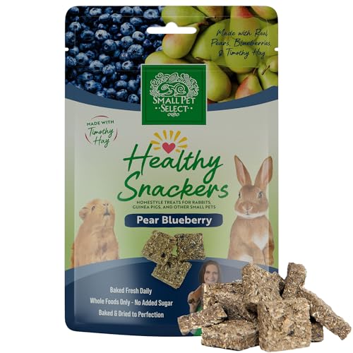 Healthy Snacker (2 Ounce (Pack of 1))