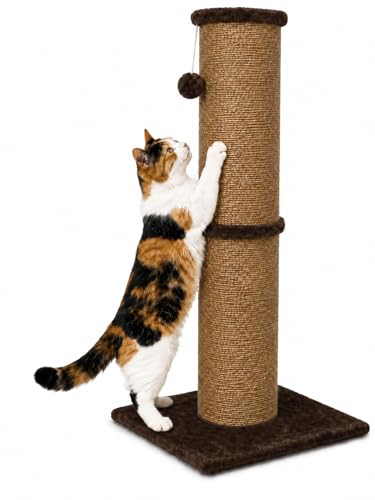 32 Inch Tall Cat Scratching Post (X-Large / Chocolate Brown)