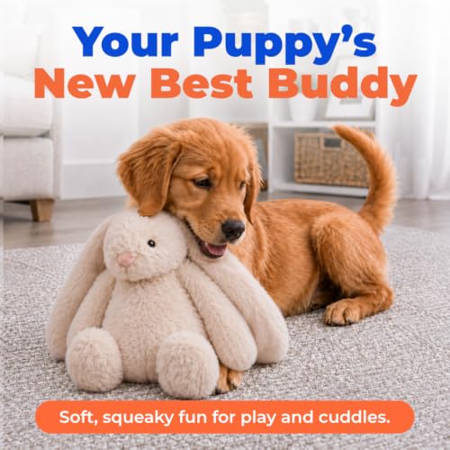 Bunny Buddy Squeaky Plush Dog Toy (Bunny (Beige) / Large)