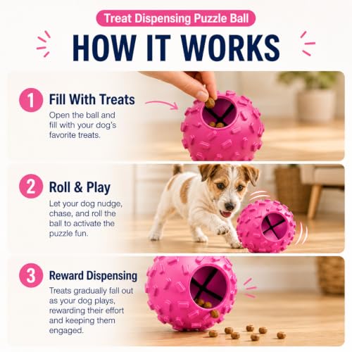 Treat Dispensing Dog Toy (Purple)