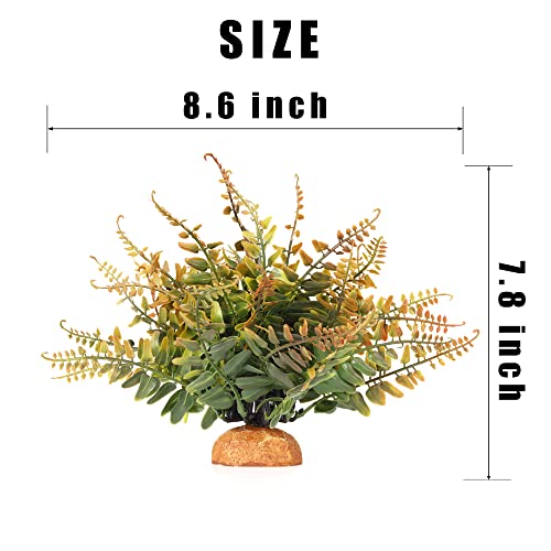 Fall Colors Boston Fern (J-fake Fall Colors Boston Fern)