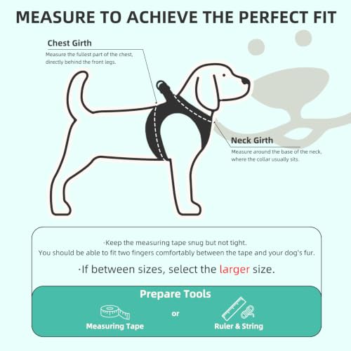 Dog Harness Collar and Leash Set No Pull for Small Medium Sized (Lake Green / L (CHEST 18"-20"))