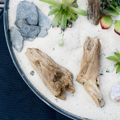 Aquarium White Sand (White-XXS / 5 LB)