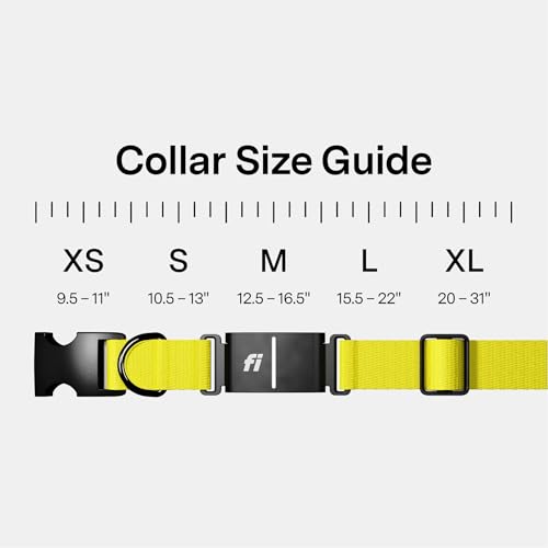 Series 3+ GPS Dog Collar & Tracker (Yellow / Large)