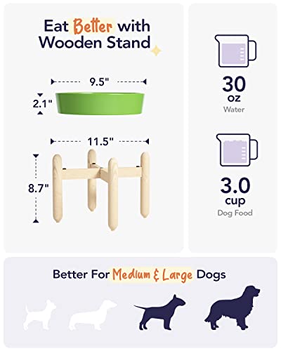 Ceramic Slow Feeder Dog Bowls Elevated (Clover Green+Stand / L-3 Cups)