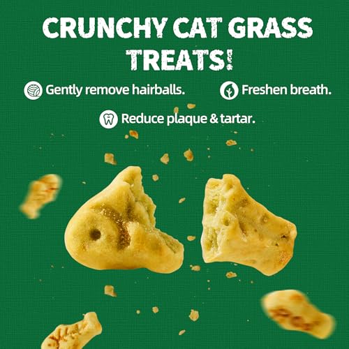 36 OZ Cat Grass Treats with Salmon Oil (2.25 Pound (Pack of 1))