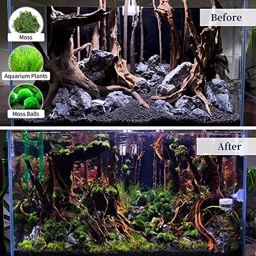Natural Large Driftwood for Aquarium Decor Reptile Decor (Mopani Driftwood 12.5 to 18 Inch (Pack of 2))
