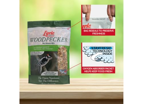 Woodpecker Wild Bird Seed