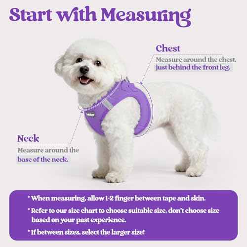 Dog Harness Small Sized and Leash Set (Purple / Xs (chest: 13.3 - 15.5"))