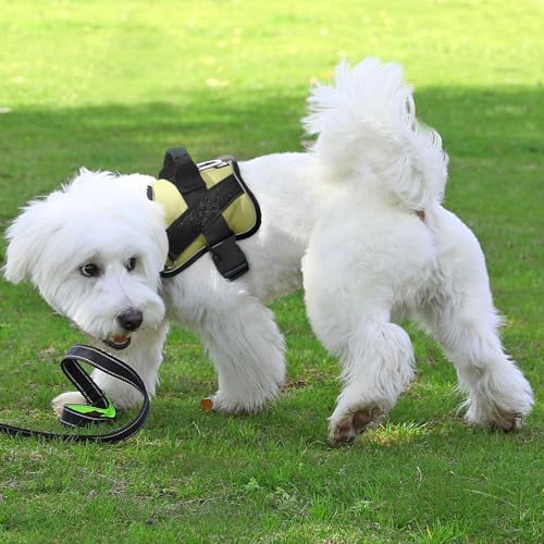 Dog Harness No (Small (Pack of 1) / Matcha)