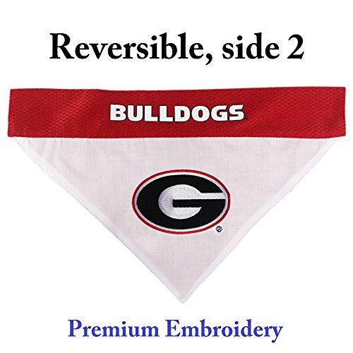 Collegiate Pet Accessories (Small/Medium / Georgia Bulldogs)