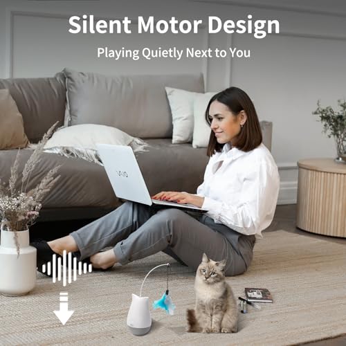 Cat Toys Interactive for Indoor (DPT01)