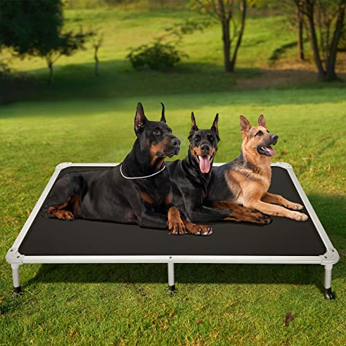 Chew Proof Elevated Dog Bed (Black / 59.0"L x 37.5"W x 9.0"Th)