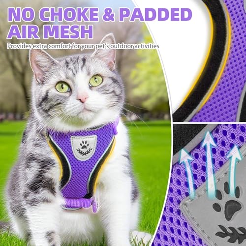 Cat Harness and Leash Set Escape Proof Reflective Cat Walking Harness Adjustable Soft Breathable Mesh Vest for Small Pets (M (NECK 11"-13.7", CHEST 16"-20") / Purple)