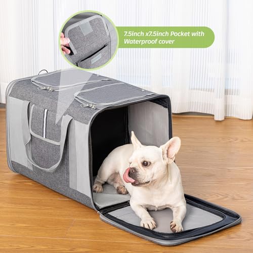 Large Cat Carrier for 2 Cats (Grey(Large))