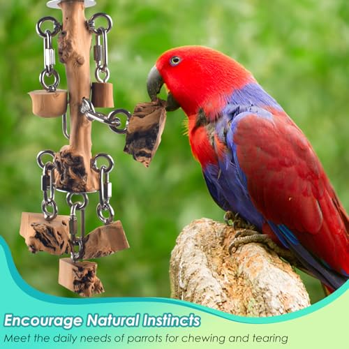 Bird Toys for Parrot (Vertical String)