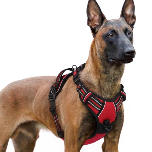 Dog Harness for Large (X-large / Red)