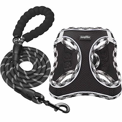 Dog Harness with Leash Set (XS / Black)