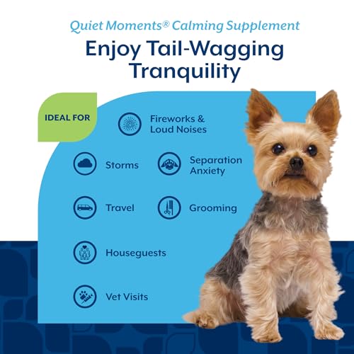 Quiet Moments Calming with Melatonin Dog Supplement (180 Count (Soft Chews))