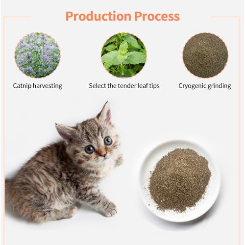 Premium Catnip for Cats & Kittens (25g)