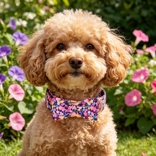 Dog Collar Floral Pattern Pet Collars with Bow Girl (Morning Glory / Large (Pack of 1))