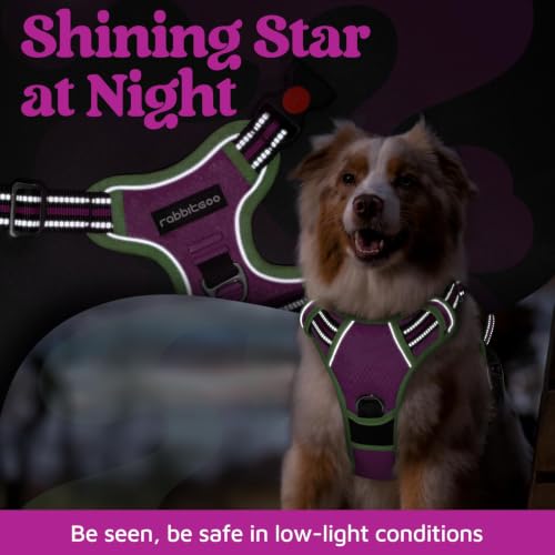 Dog Harness for Large (Purple & Light Green / Large)