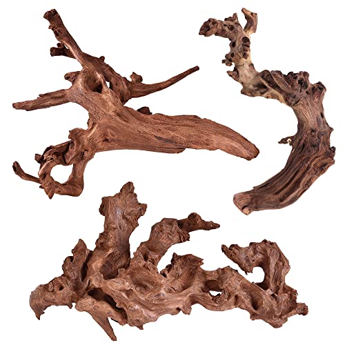 Natural Driftwood for Aquarium Decor Fish Tank Decor Reptile Decor (Mopani Driftwood 6 to 10 Inch (Pack of 3))