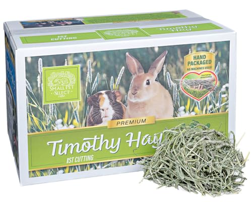 1st Cutting Timothy Hay for Rabbits & Guinea Pigs (20 Pound (Pack of 1))