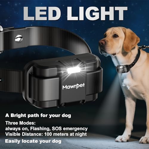 Dog Shock Collar 2 Dogs (2 collars with remote)
