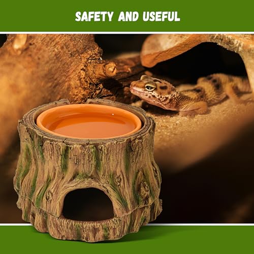 3 in 1 Leopard Gecko Humid Hide