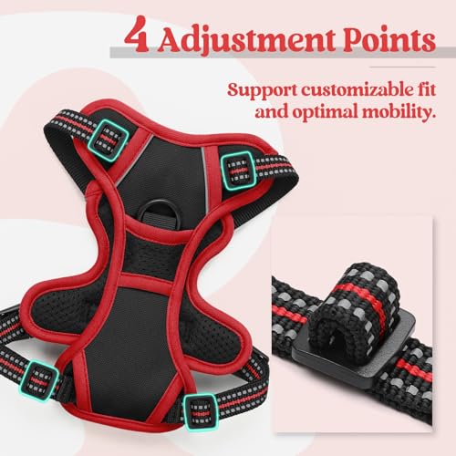 Dog Harness No Pull for Small Dogs with 2 Leash Clips (X-Small / Black & Red)