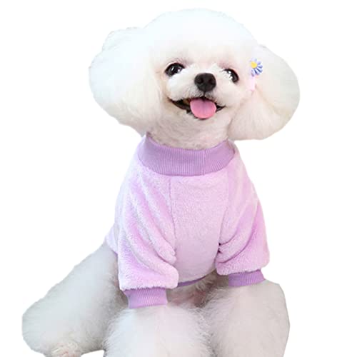 Dog Sweaters for Small Dogs (Z01-Purple / Medium)