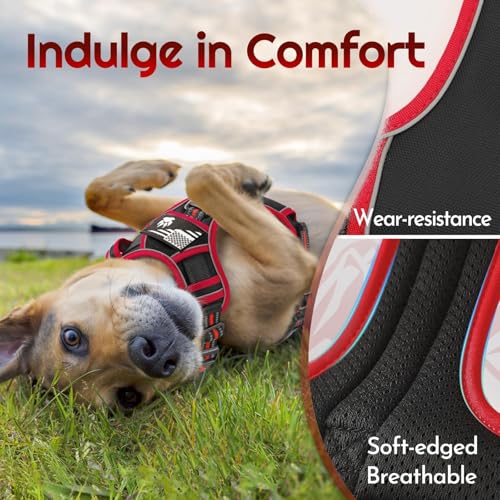 Dog Harness No Pull for Small Dogs (Small / Black & Red)