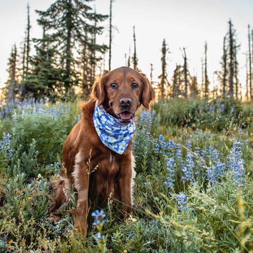 Dog Bandana with Lightweight Quick Drying Poly (Daisy)