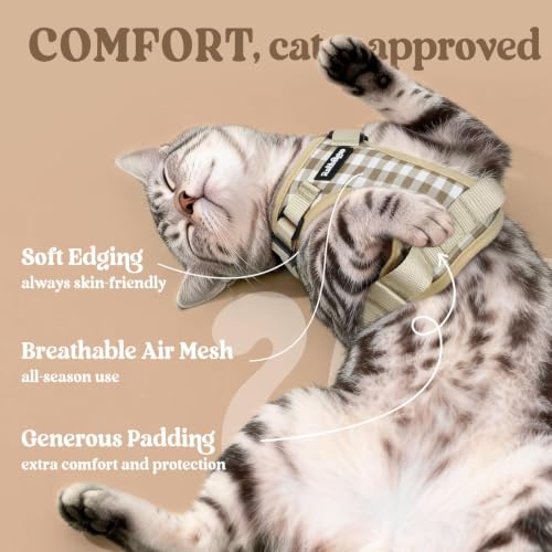 Cat Harness and Leash Set (Xxs / Foamy Coffee)