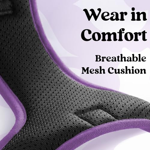 Dog Harness Medium Sized (Black & Purple / Medium)