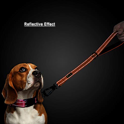Short Training Dog Leash with Padded Handle for Medium Large Big Dogs (Orange / 18 Inch (Pack of 1))
