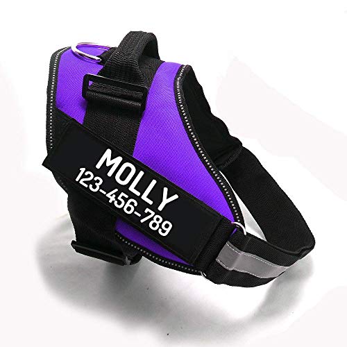 Custom No Pull Dog Harness with Name and Phone Number (XXL (85-140 LBS) / Purple)