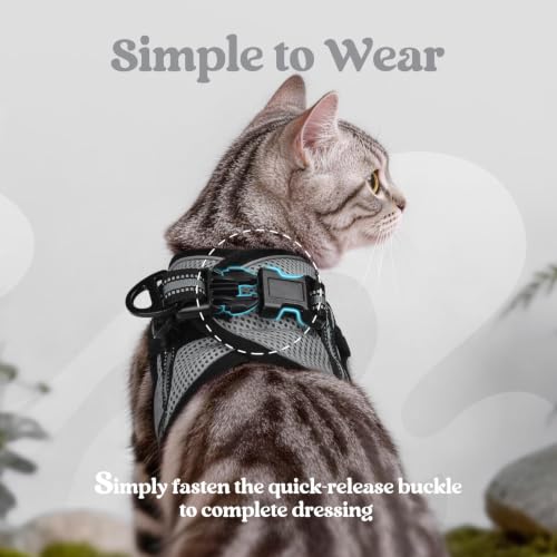 Cat Harness and Leash Set (L / Grey)