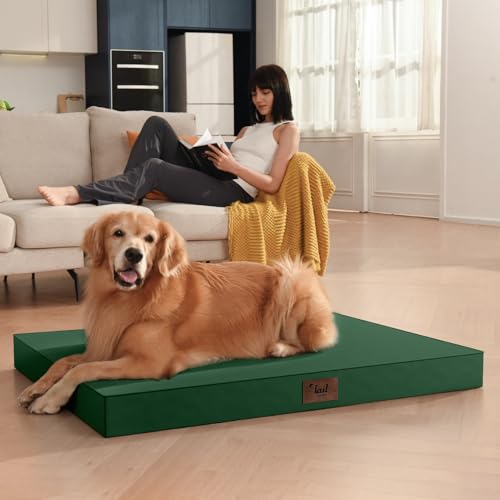 Orthopedic Waterproof Dog Bed for Small Dogs and Cats (Dark Green / 29.0"L x 18.0"W x 3.0"Th)