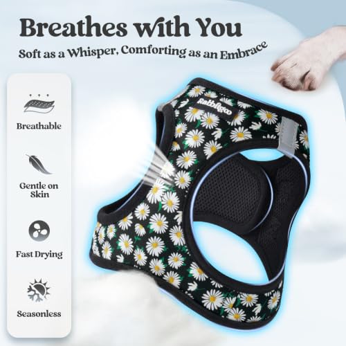 Dog Harness Small Sized and Leash Set (Midnight Daisy / S (chest: 15.1 - 16.5"))