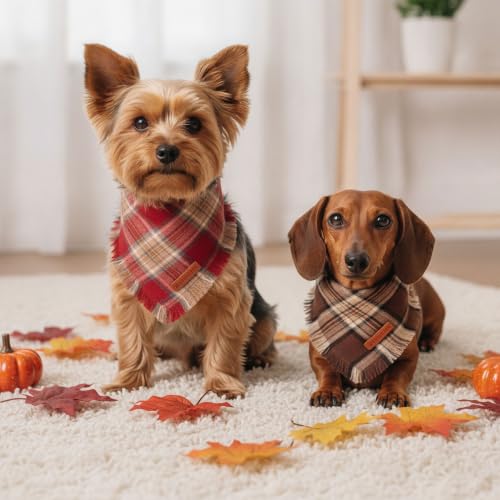 Fall Dog Bandanas with Fringe (Small / Rust Brown)
